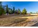 Large backyard with mature trees and landscaping at 1020 E Caroline Ln, Tempe, AZ 85284