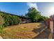 Large backyard with mature shrubs and trees at 1020 E Caroline Ln, Tempe, AZ 85284