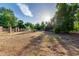 Open backyard with mature trees and partial sun at 1020 E Caroline Ln, Tempe, AZ 85284