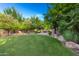 Spacious backyard with a large grassy area and mature trees at 3831 E Huber St, Mesa, AZ 85205