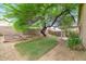 Landscaped backyard with raised garden beds and grassy area at 30200 N Desert Willow Blvd, San Tan Valley, AZ 85143