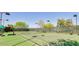 Well-maintained tennis court with surrounding fence at 30200 N Desert Willow Blvd, San Tan Valley, AZ 85143