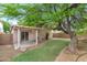 Backyard with covered patio and mature shade tree at 30200 N Desert Willow Blvd, San Tan Valley, AZ 85143