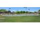 Outdoor basketball court with surrounding grass at 30200 N Desert Willow Blvd, San Tan Valley, AZ 85143