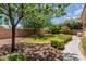 Landscaped backyard with mature trees, grass, and a stone pathway at 6215 E Turquoise Ave, Paradise Valley, AZ 85253