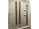 Modern shower with patterned tile and built-in shelves at 2303 W Marshall Ave, Phoenix, AZ 85015