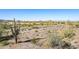 Desert lot with mountain views and cacti at 1973 W Brooke Ln, Queen Creek, AZ 85144