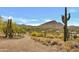 Gravel driveway leading to a property in a desert setting with cacti and mountains at 43320 N 11Th St, New River, AZ 85087