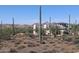View of a vacant lot with saguaro cacti and a house in the distance at 6737 E Rockaway Hills Dr, Cave Creek, AZ 85331