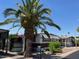Mobile home exterior with landscaping and a palm tree at 9501 E Broadway Rd # 221, Mesa, AZ 85208