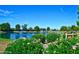 Beautiful lake view with lush landscaping and flowers at 14300 W Bell Rd # 505, Surprise, AZ 85374