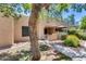 Cute stucco home exterior with walkway, mature tree, and patio seating at 14300 W Bell Rd # 505, Surprise, AZ 85374