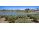 Expansive pond next to a lush green golf course at 17780 W Canto Bonito Ln, Surprise, AZ 85387