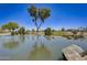 Serene pond with a reflection of trees and sky at 17780 W Canto Bonito Ln, Surprise, AZ 85387