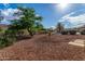 Backyard with gravel and mature desert plants at 42425 W North Star Dr, Maricopa, AZ 85138