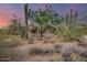 Front yard with desert landscaping and home view at 8300 E Dixileta Dr # 253, Scottsdale, AZ 85266