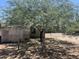 Backyard with large tree and wooden fence at 1522 W Fillmore St, Phoenix, AZ 85007