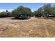 Backyard with gravel, trees, and rock border at 1522 W Fillmore St, Phoenix, AZ 85007