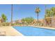 Community pool with lounge chairs and surrounding landscaping at 3511 E Baseline Rd # 1031, Phoenix, AZ 85042