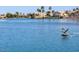 Two geese flying over calm lake, showcasing tranquil waterfront setting at 1438 W Coral Reef Dr, Gilbert, AZ 85233