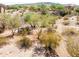 Desert lot with mature trees and shrubs at 9233 S Krista E Dr, Goodyear, AZ 85338