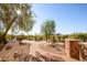 Landscaped front yard with desert plants and pathway at 9233 S Krista E Dr, Goodyear, AZ 85338