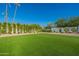Landscaped backyard with artificial turf and privacy hedge at 4723 E Desert Park Pl, Paradise Valley, AZ 85253