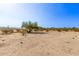 Large backyard with desert landscape and seating area at 11801 S 193Rd Dr, Buckeye, AZ 85326