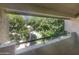 View from balcony showcasing lush green trees and landscaping at 10828 N Biltmore Dr # 203, Phoenix, AZ 85029
