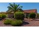 Landscaped front yard with palm trees and desert plants at 15631 W Bethesda Ct, Surprise, AZ 85374