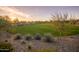 Scenic green space perfect for recreation at 16062 W Alameda Rd, Surprise, AZ 85387