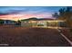 Backyard view of house with covered patio and string lights at sunset at 38334 N 20Th St, Phoenix, AZ 85086