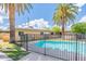 Relaxing backyard pool with fence and palm trees at 4943 E Indian School Rd # 4, Phoenix, AZ 85018