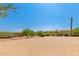 Landscaped front yard with a brick paved driveway and desert landscape at 16738 E Lone Mountain Rd, Scottsdale, AZ 85262