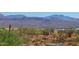 Mountain views and desert landscape with saguaros at 16738 E Lone Mountain Rd, Scottsdale, AZ 85262