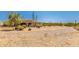 Expansive backyard with a large lot and desert landscape at 16738 E Lone Mountain Rd, Scottsdale, AZ 85262