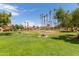 Green lawn and picnic tables in community at 4901 S Calle Los Cerros Dr # 267, Tempe, AZ 85282