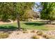 Landscaped green space with mature trees and shrubs at 16245 W Culver St, Goodyear, AZ 85338