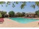 Community pool with shaded seating and restrooms at 16245 W Culver St, Goodyear, AZ 85338
