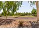 Landscaped community park with grassy areas and mature trees at 16245 W Culver St, Goodyear, AZ 85338