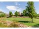 Landscaped green area with mature trees and shrubs at 16245 W Culver St, Goodyear, AZ 85338