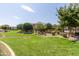 Landscaped green space with community pool in background at 16245 W Culver St, Goodyear, AZ 85338