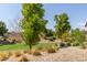 Peaceful community park with grassy areas and native plants at 16245 W Culver St, Goodyear, AZ 85338