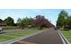 Attractive tree-lined street with well-manicured lawns at 2690 E Abe Truckle Ave, San Tan Valley, AZ 85140