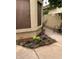 Small backyard with flowers, patio furniture, and a view of the house at 2674 N El Dorado Dr, Chandler, AZ 85224