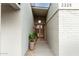 Mid-century modern home entry with brick facade and potted plants at 2325 N 64Th St, Scottsdale, AZ 85257