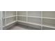 Large walk-in pantry with ample shelving for storage at 8332 E Sand Flower Dr # 20, Scottsdale, AZ 85266