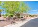 Single story home with tree and desert landscaping at 13747 W Nogales Dr, Sun City West, AZ 85375