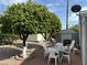 Relaxing patio with table and chairs, shaded by mature trees at 4065 E University Dr # 462, Mesa, AZ 85205