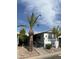 Single-wide mobile home with landscaped yard at 4065 E University Dr # 462, Mesa, AZ 85205